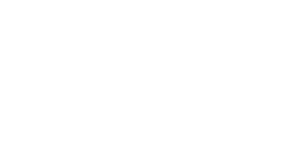 Levy Moraes Advogados
